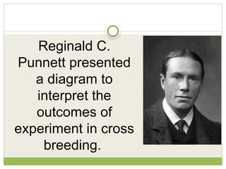 Reginald C.
Punnett presented
a diagram to
interpret the
outcomes of
experiment in cross
breeding.
 