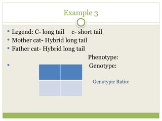 Example 3
 Legend: C- long tail c- short tail
 Mother cat- Hybrid long tail
 Father cat- Hybrid long tail
Phenotype:
 Genotype:
Genotypic Ratio:
 