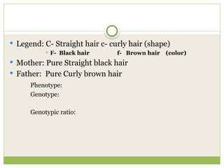  Legend: C- Straight hair c- curly hair (shape)
 F- Black hair f- Brown hair (color)
 Mother: Pure Straight black hair
 Father: Pure Curly brown hair
Phenotype:
Genotype:
Genotypic ratio:
 