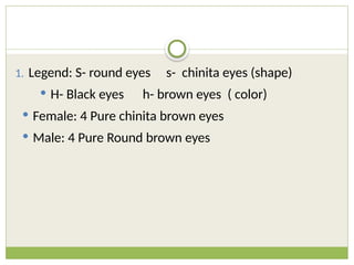 1. Legend: S- round eyes s- chinita eyes (shape)
 H- Black eyes h- brown eyes ( color)
 Female: 4 Pure chinita brown eyes
 Male: 4 Pure Round brown eyes
 
