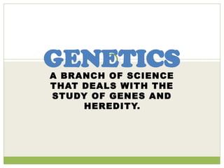 A BRANCH OF SCIENCE
THAT DEALS WITH THE
STUDY OF GENES AND
HEREDITY.
GENETICS
 