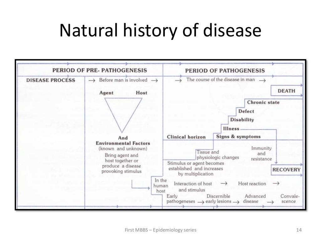 model of disease causation theories pdf