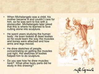 When Michelangelo was a child, his mother became ill and couldn’t care for him, so he was sent to live with a stonecutter. Michelangelo later joked that this is where he learned to love cutting stone into sculpture. He spent years studying the human body. He even looked at dead bodies so he could learn the way the muscles and bones were attached and how arms and legs moved.  He drew sketches of people, concentrating on getting the muscles just right. His sketches of bodies helped him to do sculpture. Do you see how he drew muscles here?  What other body parts did he study in this drawing? 