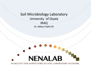 Soil Microbiology Laboratory
University of Diyala
IRAQ
Dr. Abbas Fadhil Ali
 