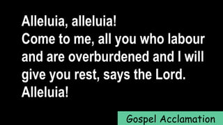 Alleluia, alleluia!
Come to me, all you who labour
and are overburdened and I will
give you rest, says the Lord.
Alleluia!
Gospel Acclamation
 