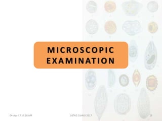 MICROSCOPIC
EXAMINATION
04-Apr-17 10:38 AM 13USTAZ ELHADI 2017
 