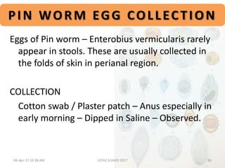 PIN WORM EGG COLLECTION
Eggs of Pin worm – Enterobius vermicularis rarely
appear in stools. These are usually collected in
the folds of skin in perianal region.
COLLECTION
Cotton swab / Plaster patch – Anus especially in
early morning – Dipped in Saline – Observed.
04-Apr-17 10:38 AM 16USTAZ ELHADI 2017
 