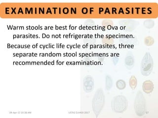 EXAMINATION OF PARASITES
Warm stools are best for detecting Ova or
parasites. Do not refrigerate the specimen.
Because of cyclic life cycle of parasites, three
separate random stool specimens are
recommended for examination.
04-Apr-17 10:38 AM 17USTAZ ELHADI 2017
 