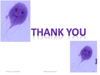 04-Apr-17 10:38 AM 39USTAZ ELHADI 2017
 