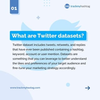 What are Twitter Datasets?