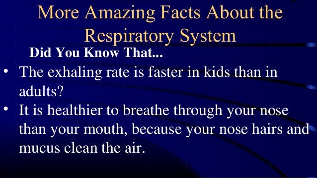 1st science 17 good health habits to keep the respiratory system heal…