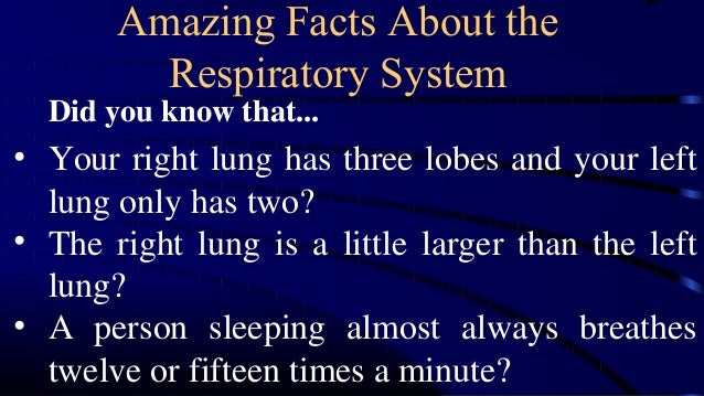 1st science 17 good health habits to keep the respiratory system heal…