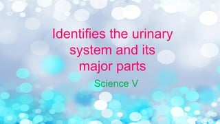 Identifies the urinary
system and its
major parts
Science V
 