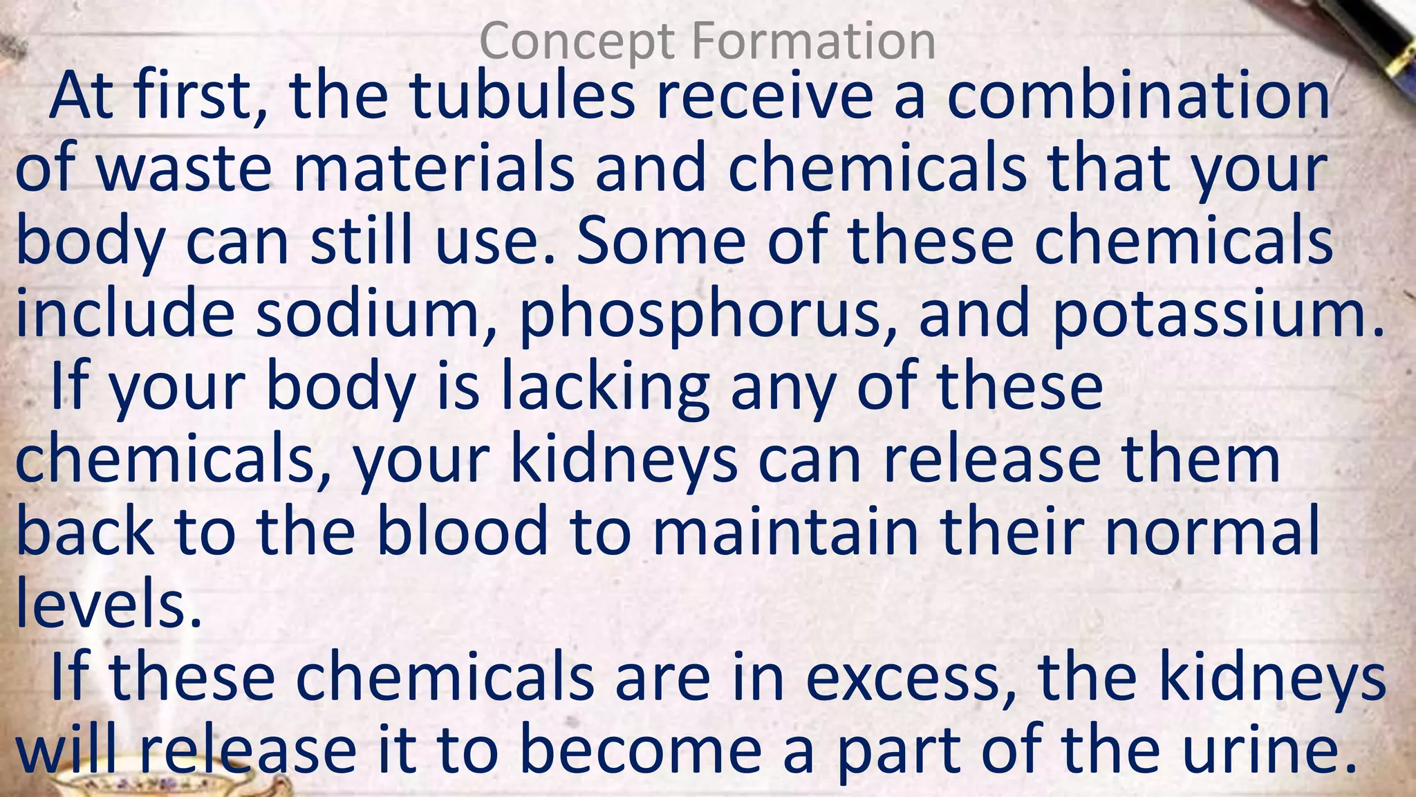 Concept Formation
At first, the tubules receive a combination
of waste materials and chemicals that your
body can still use. Some of these chemicals
include sodium, phosphorus, and potassium.
If your body is lacking any of these
chemicals, your kidneys can release them
back to the blood to maintain their normal
levels.
If these chemicals are in excess, the kidneys
will release it to become a part of the urine.
 