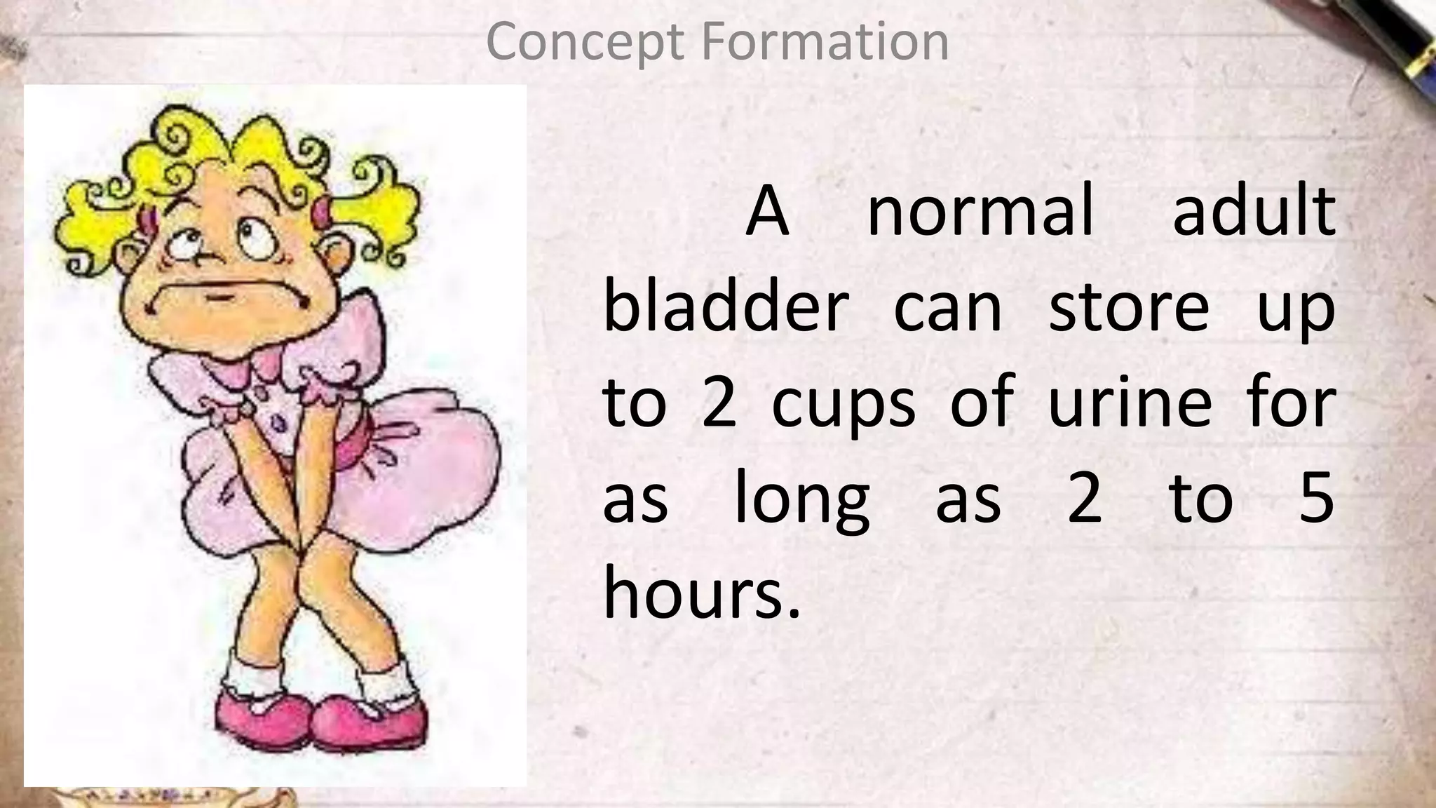 A normal adult
bladder can store up
to 2 cups of urine for
as long as 2 to 5
hours.
Concept Formation
 