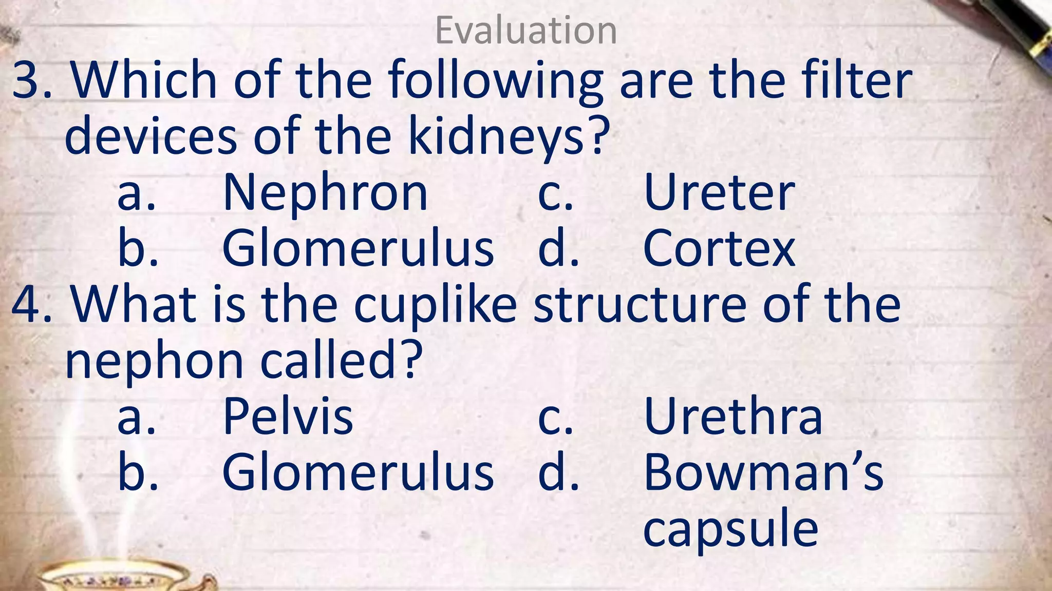Evaluation
3. Which of the following are the filter
devices of the kidneys?
a. Nephron c. Ureter
b. Glomerulus d. Cortex
4. What is the cuplike structure of the
nephon called?
a. Pelvis c. Urethra
b. Glomerulus d. Bowman’s
capsule
 