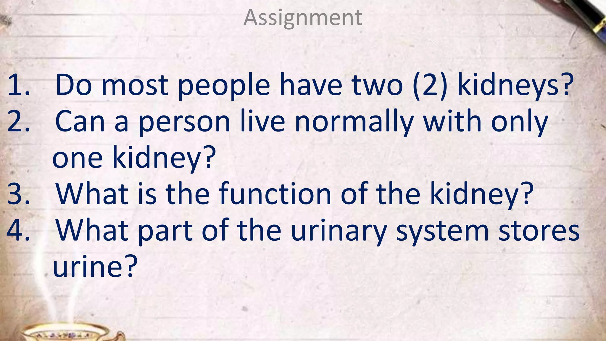 Assignment
1. Do most people have two (2) kidneys?
2. Can a person live normally with only
one kidney?
3. What is the function of the kidney?
4. What part of the urinary system stores
urine?
 