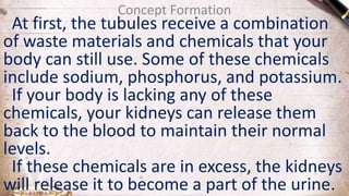 Concept Formation
At first, the tubules receive a combination
of waste materials and chemicals that your
body can still use. Some of these chemicals
include sodium, phosphorus, and potassium.
If your body is lacking any of these
chemicals, your kidneys can release them
back to the blood to maintain their normal
levels.
If these chemicals are in excess, the kidneys
will release it to become a part of the urine.
 