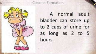 A normal adult
bladder can store up
to 2 cups of urine for
as long as 2 to 5
hours.
Concept Formation
 