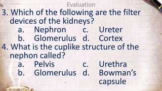 Evaluation
3. Which of the following are the filter
devices of the kidneys?
a. Nephron c. Ureter
b. Glomerulus d. Cortex
4. What is the cuplike structure of the
nephon called?
a. Pelvis c. Urethra
b. Glomerulus d. Bowman’s
capsule
 