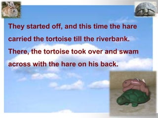 They started off, and this time the hare
carried the tortoise till the riverbank.
There, the tortoise took over and swam
across with the hare on his back.
 