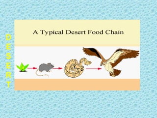DESERT 