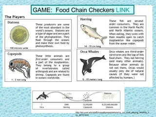 GAME:  Food Chain Checkers  LINK http://eo.ucar.edu/staff/rrussell/presentations/co_sci_conf_playing_wkshop_nov_2010.html 