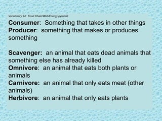 Vocabulary 24:  Food Chain/Web/Energy pyramid Consumer :  Something that takes in other things Producer :  something that makes or produces something Scavenger:   an animal that eats dead animals that something else has already killed Omnivore :  an animal that eats both plants or animals Carnivore:   an animal that only eats meat (other animals) Herbivore :  an animal that only eats plants 