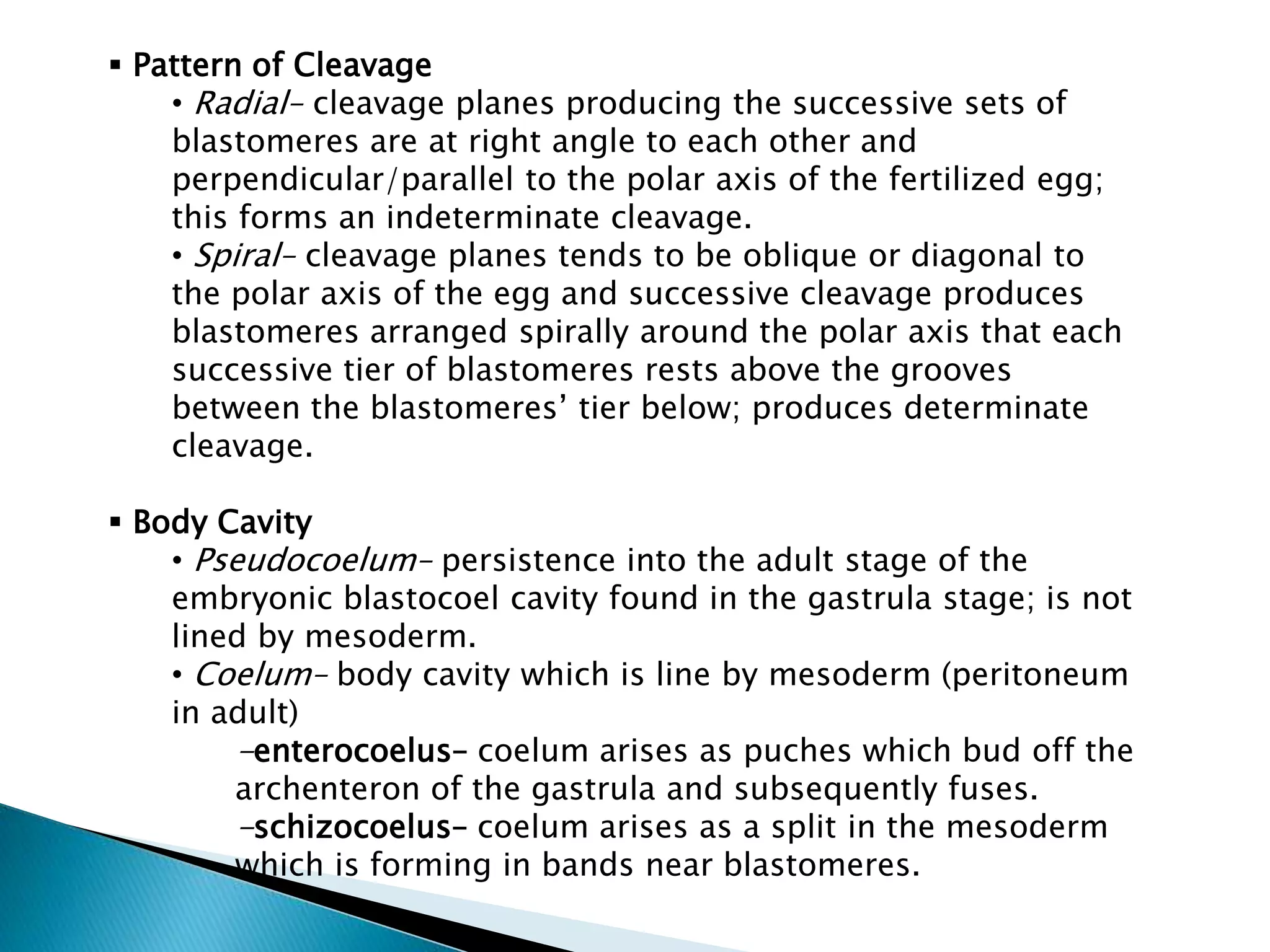  Pattern of Cleavage
• Radial– cleavage planes producing the successive sets of
blastomeres are at right angle to each other and
perpendicular/parallel to the polar axis of the fertilized egg;
this forms an indeterminate cleavage.
• Spiral– cleavage planes tends to be oblique or diagonal to
the polar axis of the egg and successive cleavage produces
blastomeres arranged spirally around the polar axis that each
successive tier of blastomeres rests above the grooves
between the blastomeres’ tier below; produces determinate
cleavage.
 Body Cavity
• Pseudocoelum– persistence into the adult stage of the
embryonic blastocoel cavity found in the gastrula stage; is not
lined by mesoderm.
• Coelum– body cavity which is line by mesoderm (peritoneum
in adult)
-enterocoelus– coelum arises as puches which bud off the
archenteron of the gastrula and subsequently fuses.
-schizocoelus– coelum arises as a split in the mesoderm
which is forming in bands near blastomeres.

 