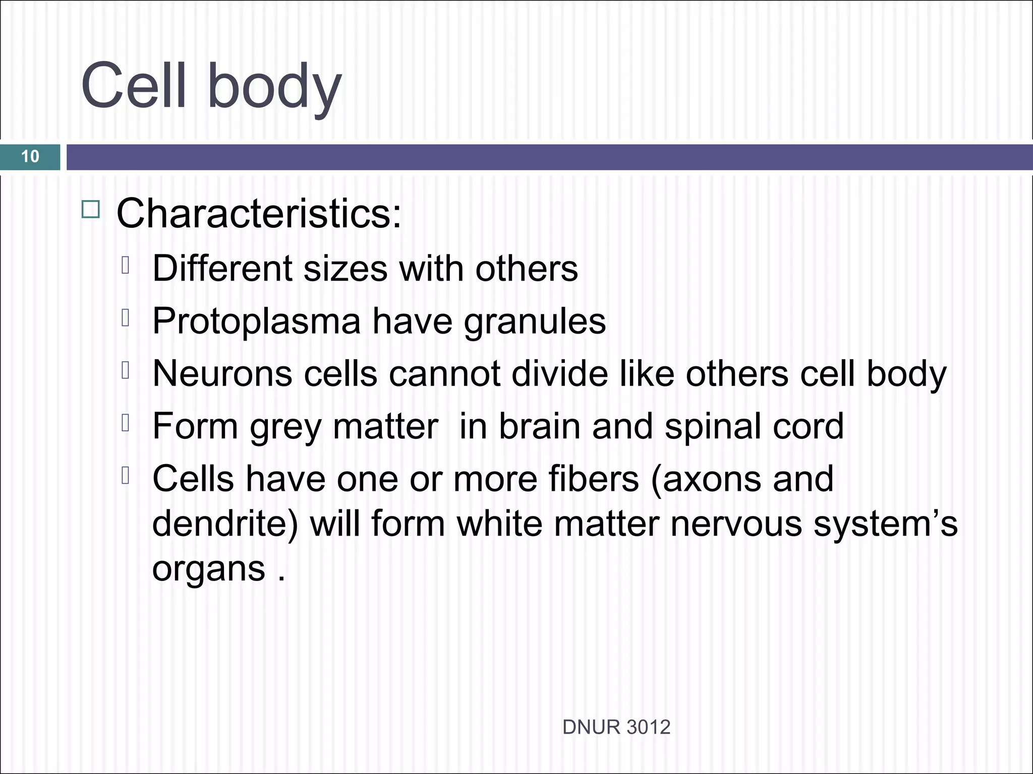 Cell body
10


        Characteristics:
            Different sizes with others
            Protoplasma have granules
            Neurons cells cannot divide like others cell body
            Form grey matter in brain and spinal cord
            Cells have one or more fibers (axons and
             dendrite) will form white matter nervous system’s
             organs .



                                     DNUR 3012
 