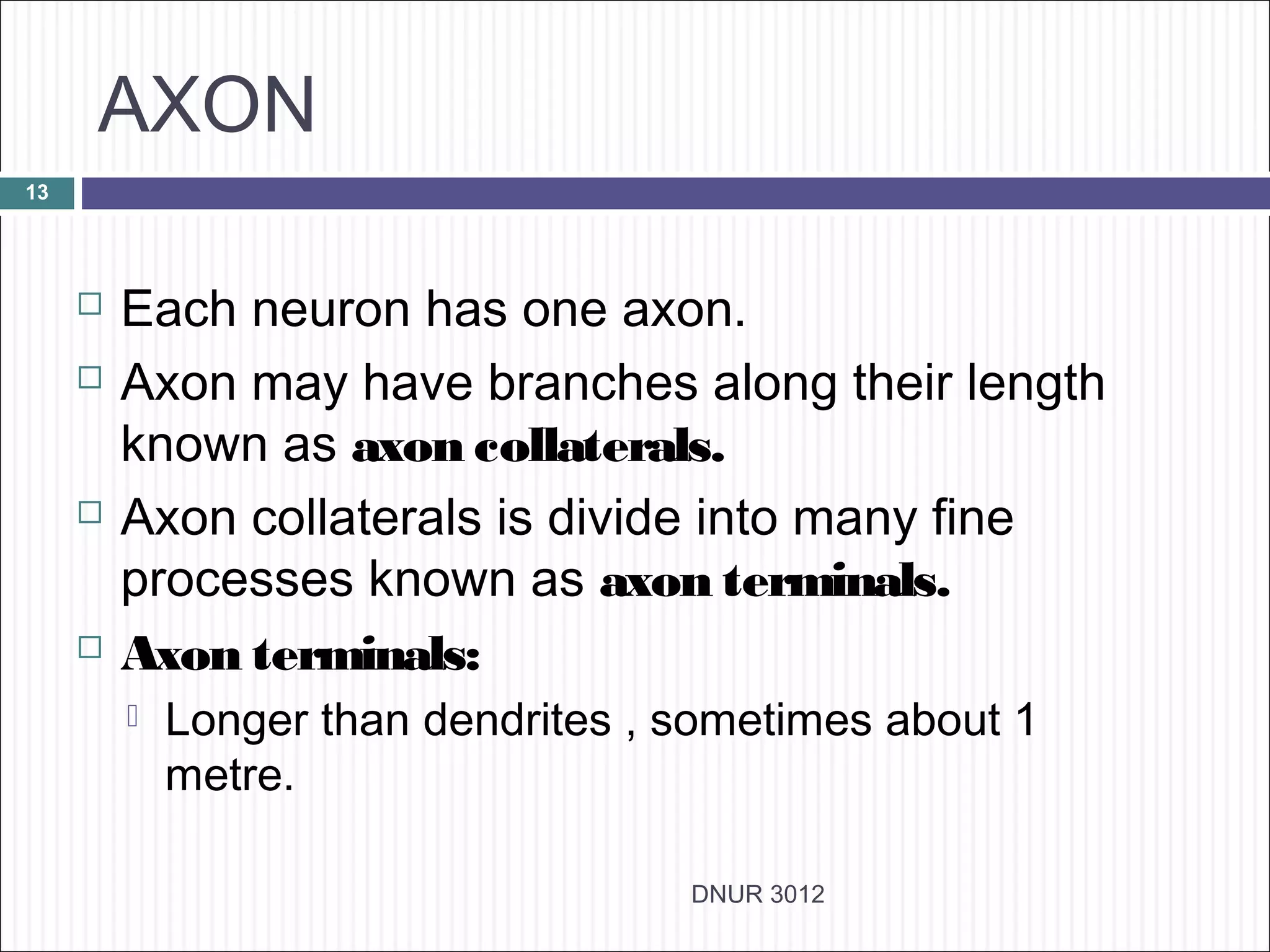 AXON
13




        Each neuron has one axon.
        Axon may have branches along their length
         known as axon collaterals.
        Axon collaterals is divide into many fine
         processes known as axon terminals.
        Axon terminals:
            Longer than dendrites , sometimes about 1
             metre.

                                     DNUR 3012
 