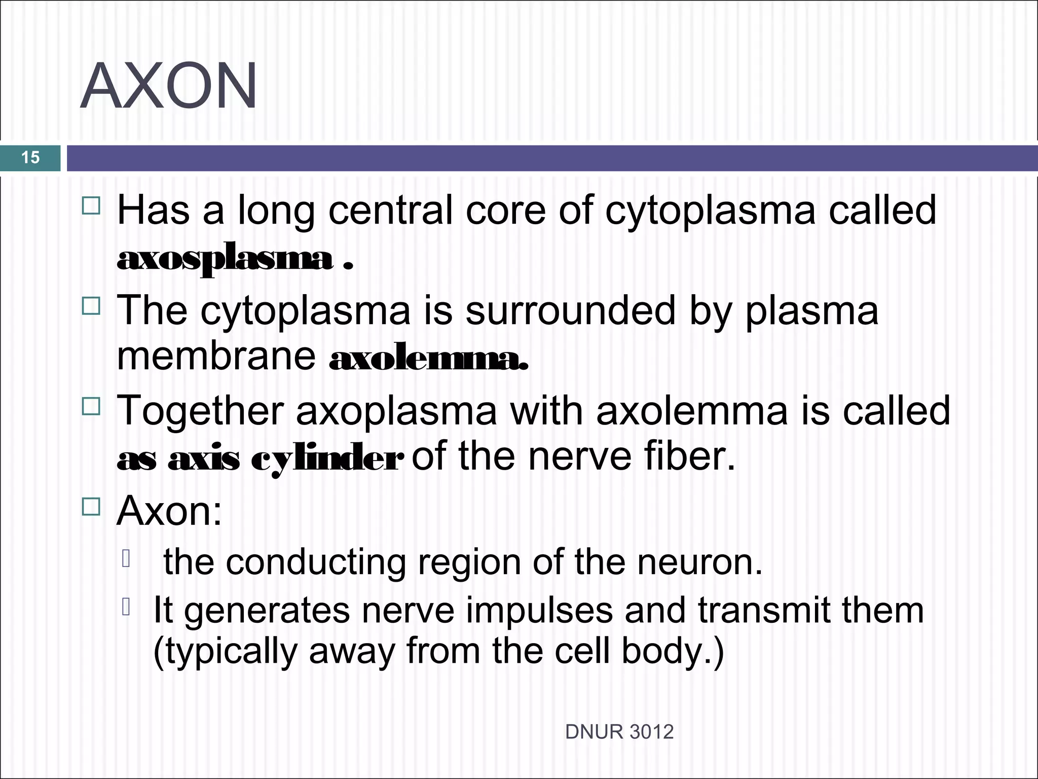 AXON
15

        Has a long central core of cytoplasma called
         axosplasma .
        The cytoplasma is surrounded by plasma
         membrane axolemma.
        Together axoplasma with axolemma is called
         as axis cylinder of the nerve fiber.
        Axon:
             the conducting region of the neuron.
            It generates nerve impulses and transmit them
             (typically away from the cell body.)

                                     DNUR 3012
 