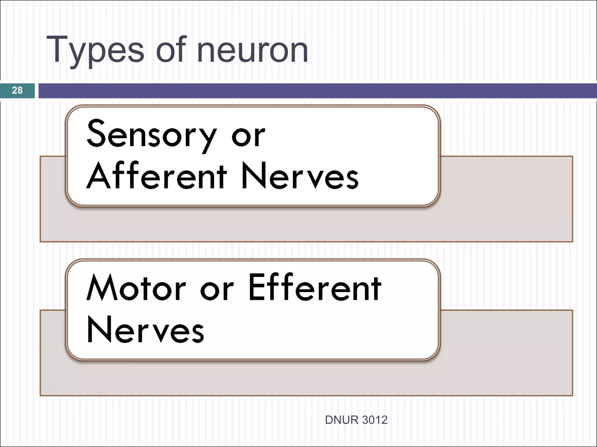 Types of neuron
28




                       DNUR 3012
 