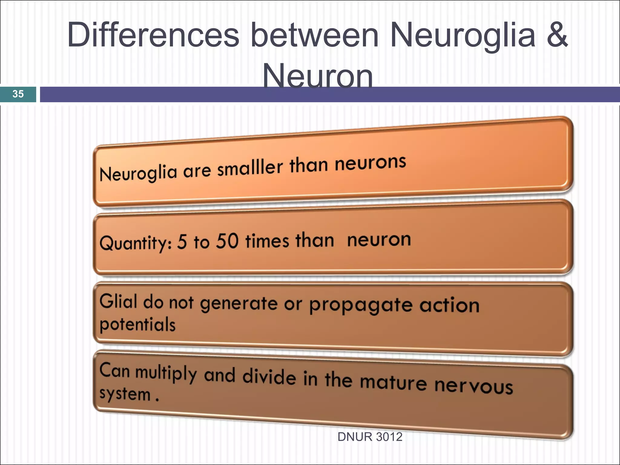 Differences between Neuroglia &
35
                  Neuron




                     DNUR 3012
 