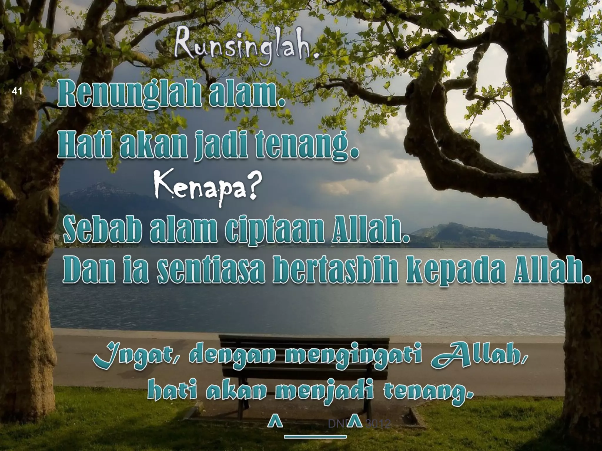 41




     DNUR 3012
 