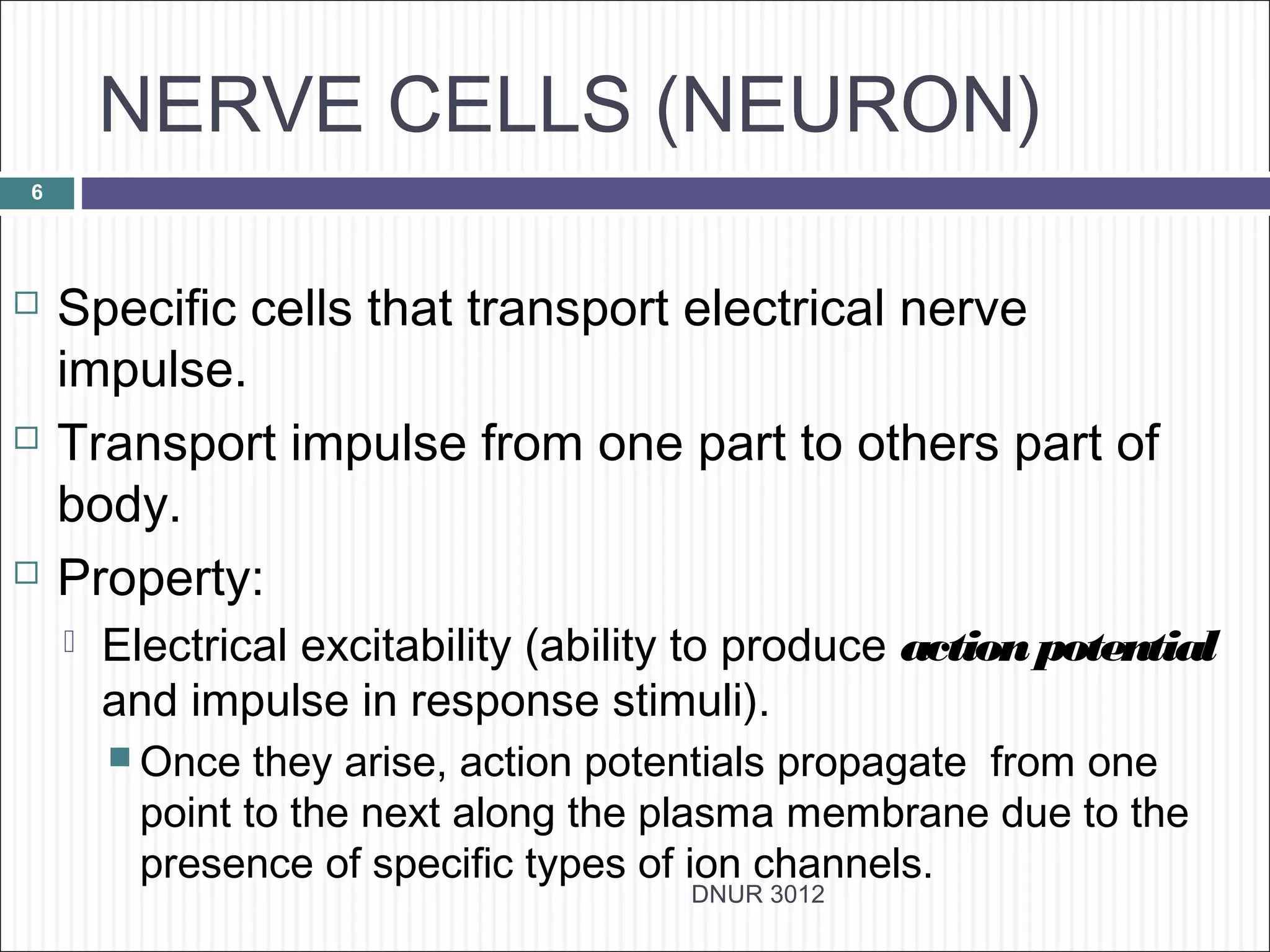 NERVE CELLS (NEURON)
6




   Specific cells that transport electrical nerve
    impulse.
   Transport impulse from one part to others part of
    body.
   Property:
       Electrical excitability (ability to produce action potential
        and impulse in response stimuli).
         Once   they arise, action potentials propagate from one
          point to the next along the plasma membrane due to the
          presence of specific types of ion channels.
                                       DNUR 3012
 
