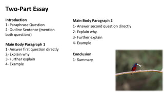 1 Structuring a Task 2 Essay (ss).pdf ielts | PDF