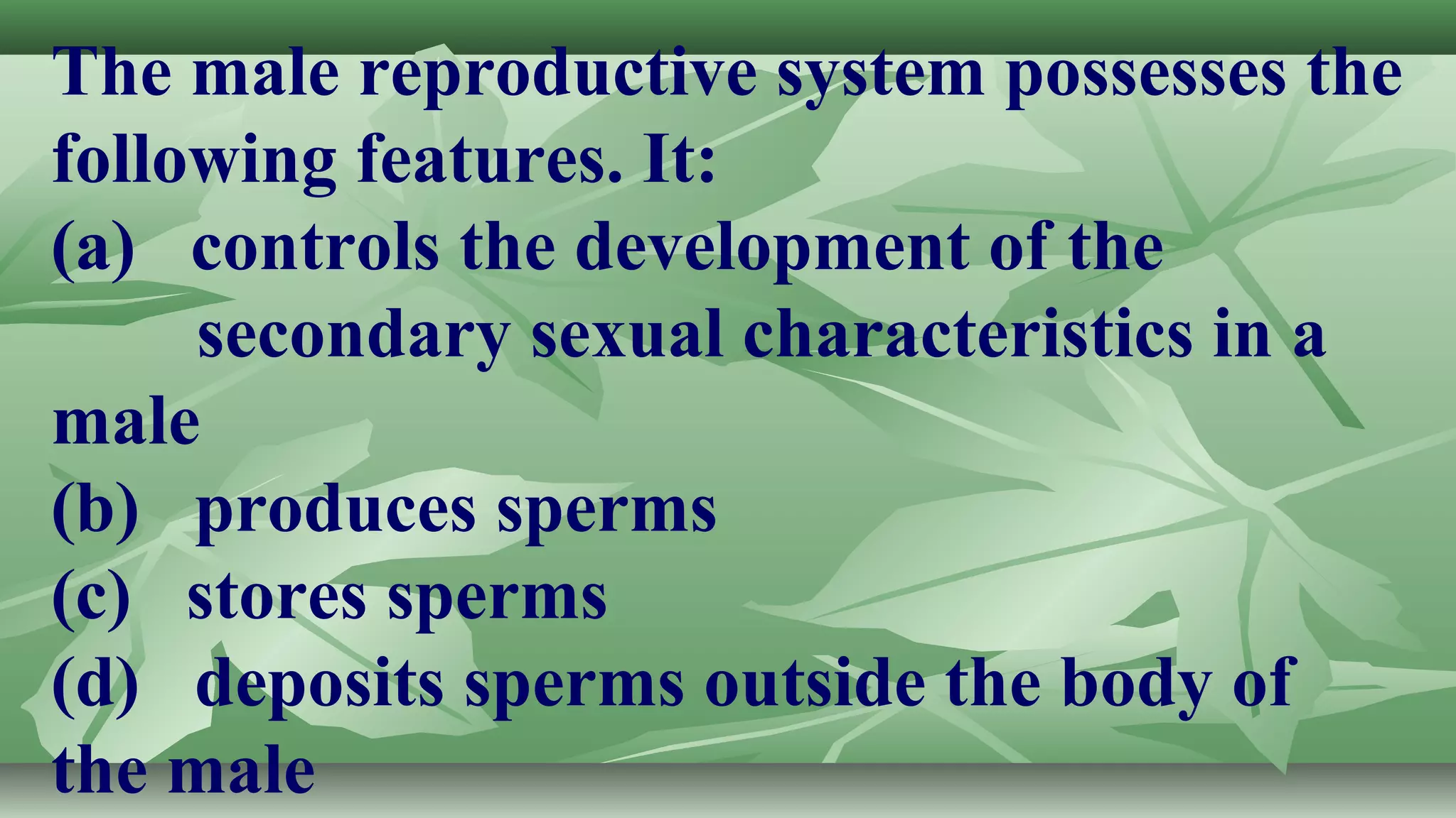 1st science 1 function of male reproductive system | PPT