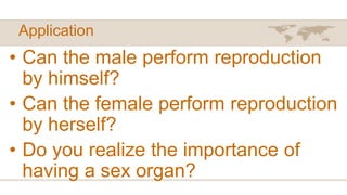 Application
• Can the male perform reproduction
by himself?
• Can the female perform reproduction
by herself?
• Do you realize the importance of
having a sex organ?
 