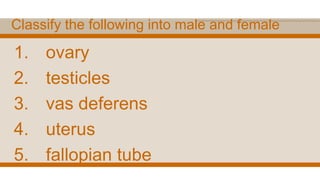 Classify the following into male and female
1. ovary
2. testicles
3. vas deferens
4. uterus
5. fallopian tube
 