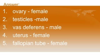 Answer:
1. ovary - female
2. testicles -male
3. vas deferens - male
4. uterus - female
5. fallopian tube - female
 