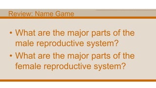 Review: Name Game
• What are the major parts of the
male reproductive system?
• What are the major parts of the
female reproductive system?
 