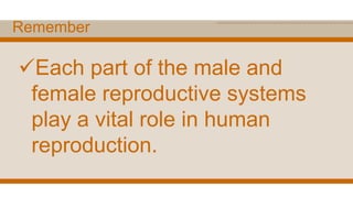 Remember
Each part of the male and
female reproductive systems
play a vital role in human
reproduction.
 