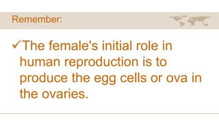 Remember:
The female's initial role in
human reproduction is to
produce the egg cells or ova in
the ovaries.
 