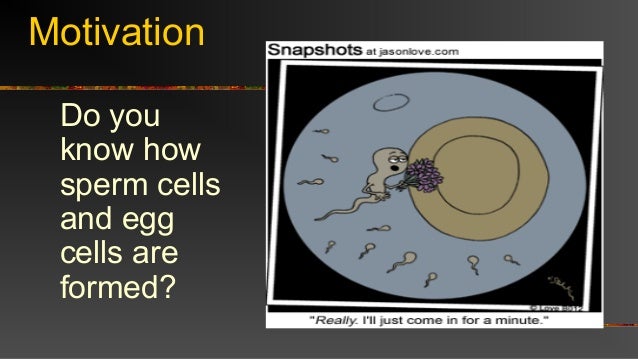 1st Science 5 Cellular Reproduction Of Sex Cells 