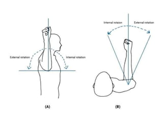 Unit I — Introduction to Anatomical Terms and Organization of the Human ...