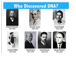 Comprehensive Overview of DNA Structure, Function, and Genetic ...