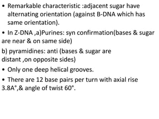 Comprehensive Overview of DNA Structure, Function, and Genetic ...