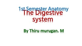 The Digestive
system
By Thiru murugan. M
1st Semester Anatomy
 