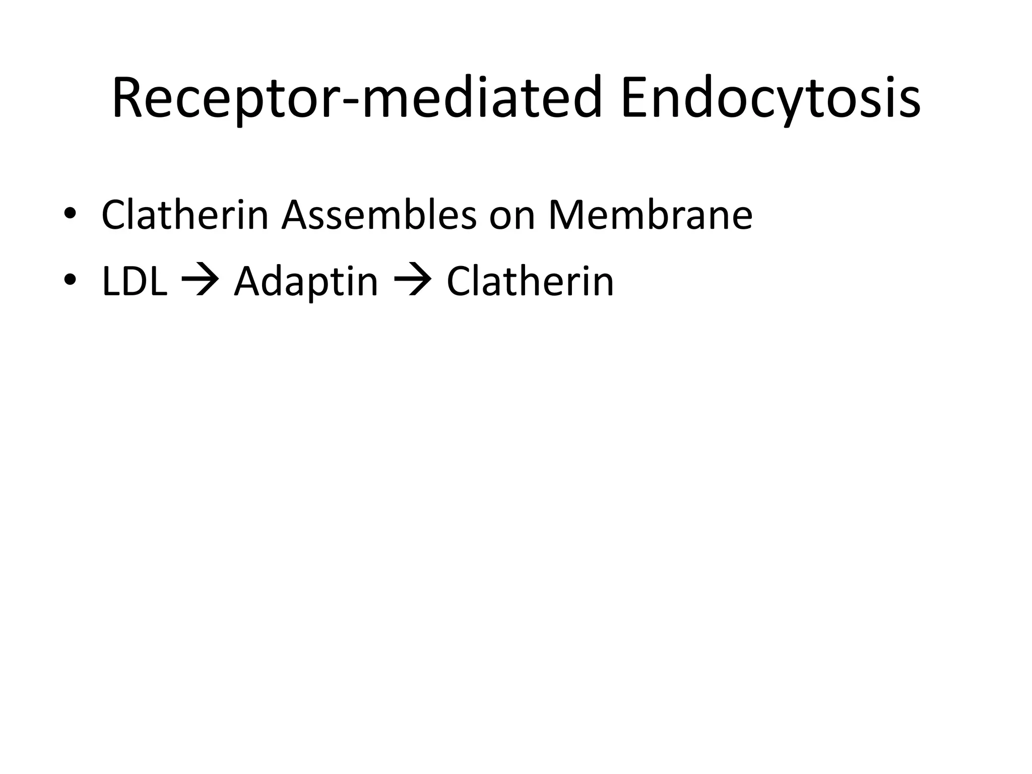 Receptor-mediated EndocytosisClatherin Assembles on MembraneLDL  Adaptin  Clatherin